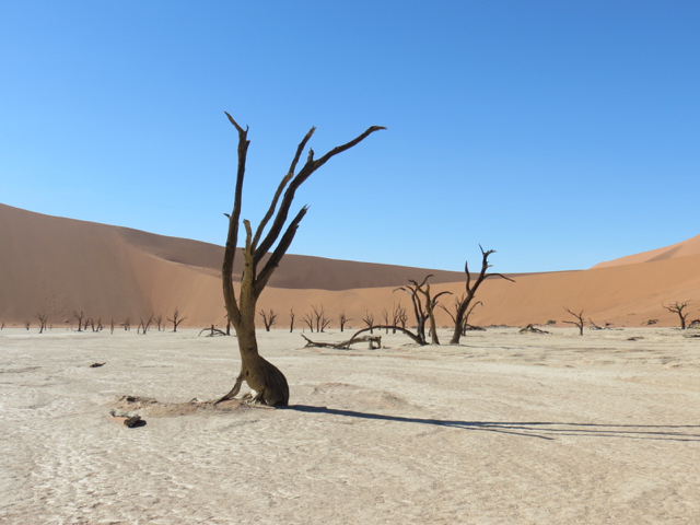 Deadvlei, a parte mais surrealista do parque nacional conhecido como Sossusvlei