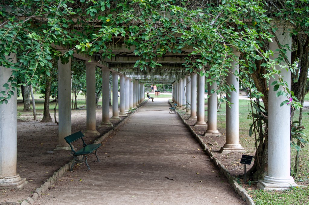 Jardim Botânico do Rio é cheio de cantinhos interessantes. (Foto: She paused 4 photo/Flickr/creative commons)