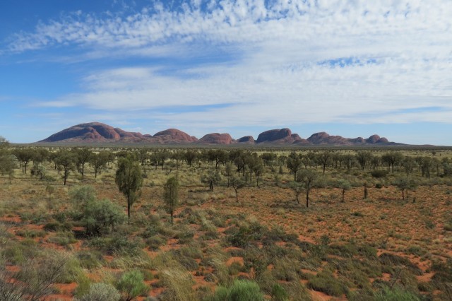36 cucurutos que emergem do nada a 35 quilômetros de Uluru