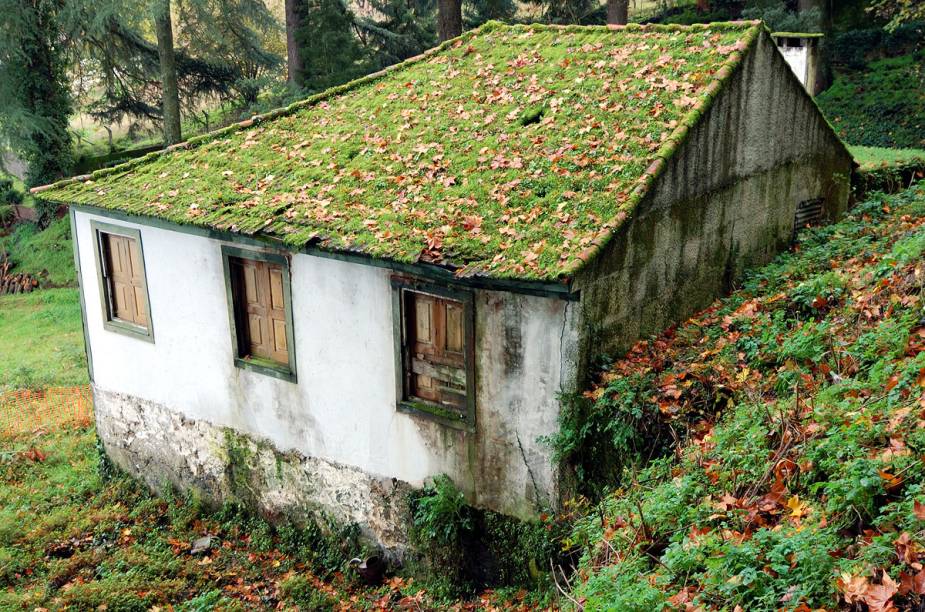 Casinha fica coberta de folhas e líquens no outono em Lamego