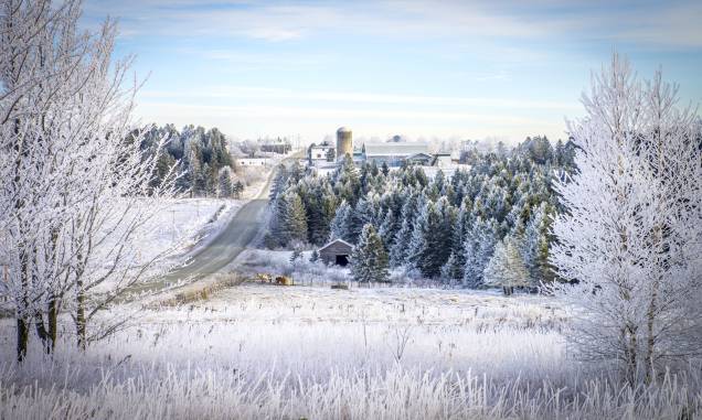 Magical Winter Forest Magical Winter Forest