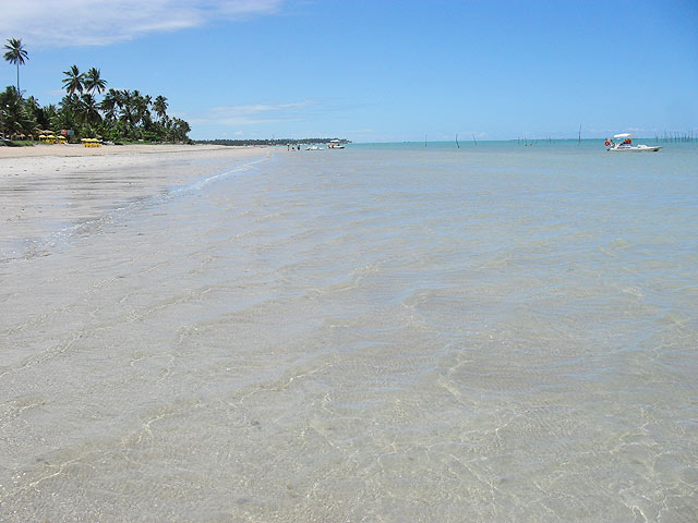 A água transparente do mar de Maragogi (foto: Ludmilla Balduino)