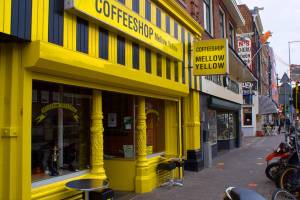 mello yellow – Amsterdã