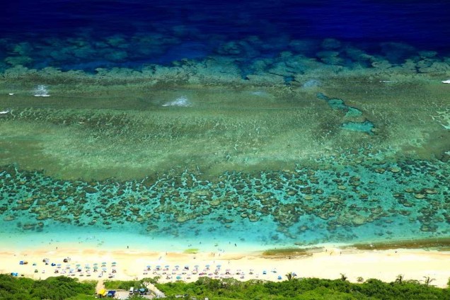 Recife de corais nas Ilhas Miyako, Okinawa