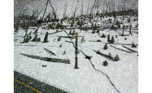 Tower Hill com neve, Parque Nacional Yellowstone, Wyoming Tower Hill com neve, Parque Nacional Yellowstone, Wyoming