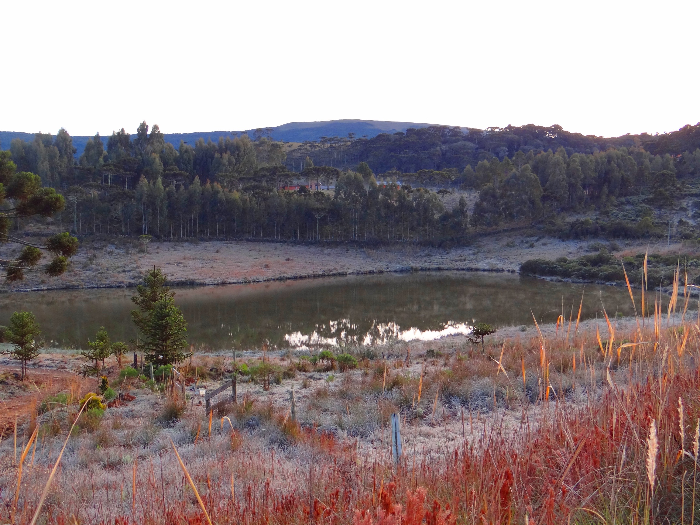Urupema | Viagem e Turismo 