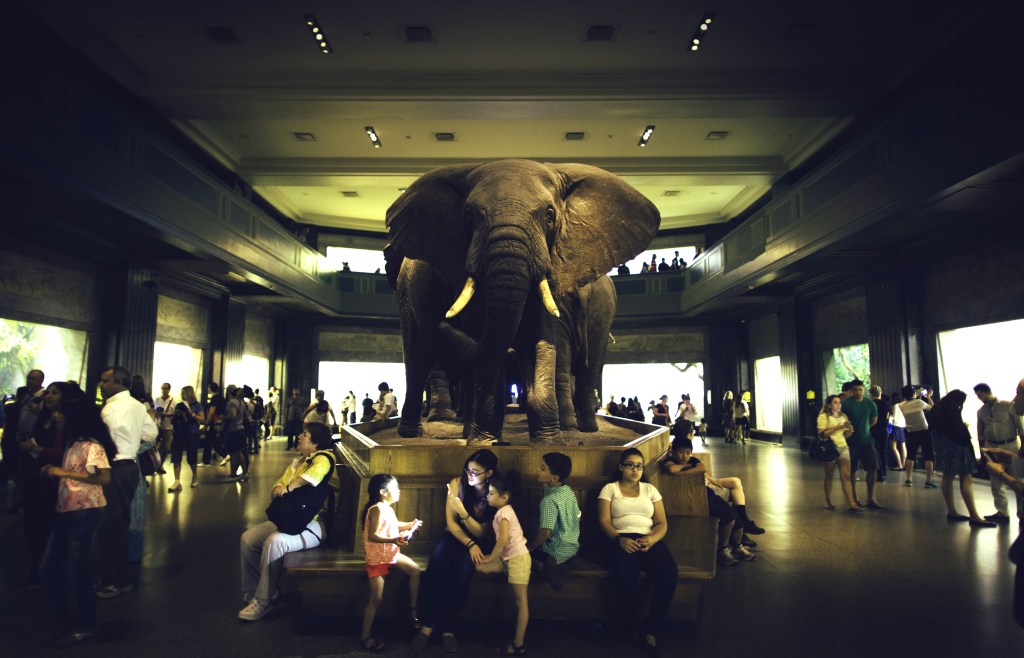Museu de História Natural, Nova York, Estados Unidos