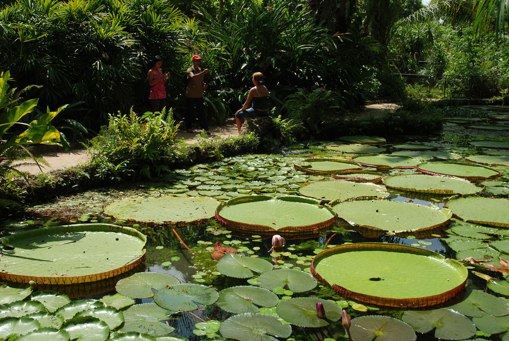 Parque Emílio Goeldi em Belém (PA)