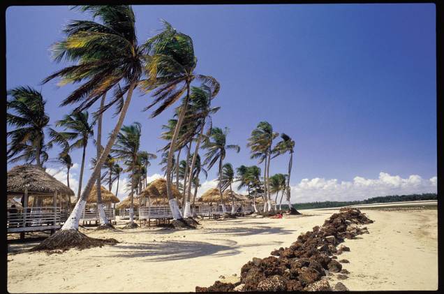 A Praia do Pesqueiro fica na maior cidade da Ilha de Marajó (PA), Soudre, e é ótima para turistas