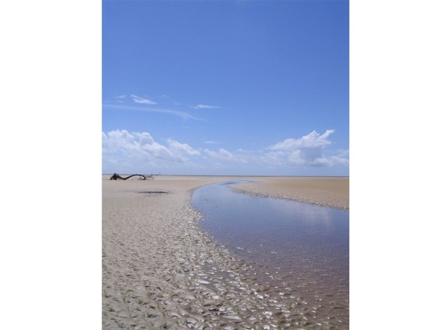 Localizada no encontro dos rios Amazonas e Tapajós com o oceano, a Ilha de Marajó (PA) concentra praias atraentes, igarapés e é famosa pelos búfalos, que são encontrados em abundância