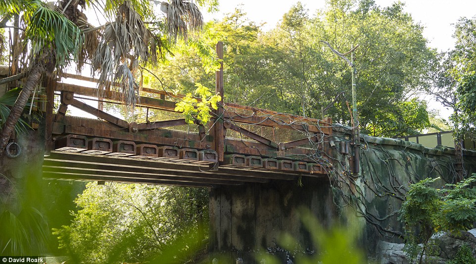 A ponte que liga o restante do parque ao mundo de Avatar, no Animal Kingdom