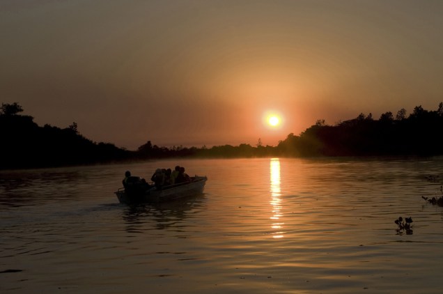 Os passeios de barco para observação de animais, oferecidos pelos hotéis e barcos de pesca, são tradicionais na região Os passeios de barco para observação de animais, oferecidos pelos hotéis e barcos de pesca, são tradicionais na região