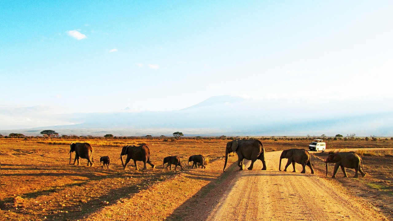 Parque-Amboseli-Quenia