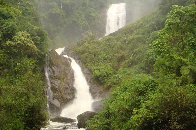 A Cachoeira dos Veados tem um dos acessos mais difíceis dentre as cachoeiras que se encontram no <a href="http://viagemeturismo.abril.com.br/atracao/parque-nacional-da-serra-da-bocaina/" target="_blank">Parque Nacional da Serra da Bocaina</a>, na divisa entre os Estados de <a href="http://viagemeturismo.abril.com.br/estados/sao-paulo/" target="_blank">São Paulo</a> e <a href="http://viagemeturismo.abril.com.br/estados/rio-de-janeiro/" target="_blank">Rio de Janeiro</a>. As duas quedas d’água que somam 200 metros só são acessíveis pela <a href="http://viagemeturismo.abril.com.br/atracao/trekking-na-trilha-do-ouro-2/" target="_blank">Trilha do Ouro.</a> A caminhada é intensa e tem pelo menos 5 horas de duração.