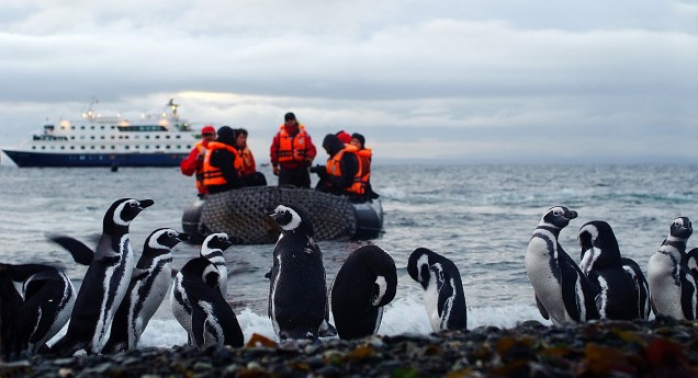 Foto de visita à Ilha Magdalena, morada dos Penguins de Magalhães, uma das paradas do cruzeiro com rota de Ushuaia a Punta Arenas, em território chileno, realizado pela Cruceros Australis. A viagem passa pelo Cabo Horn, ponto de encontro entre os oceanos Atlântico e Pacífico.