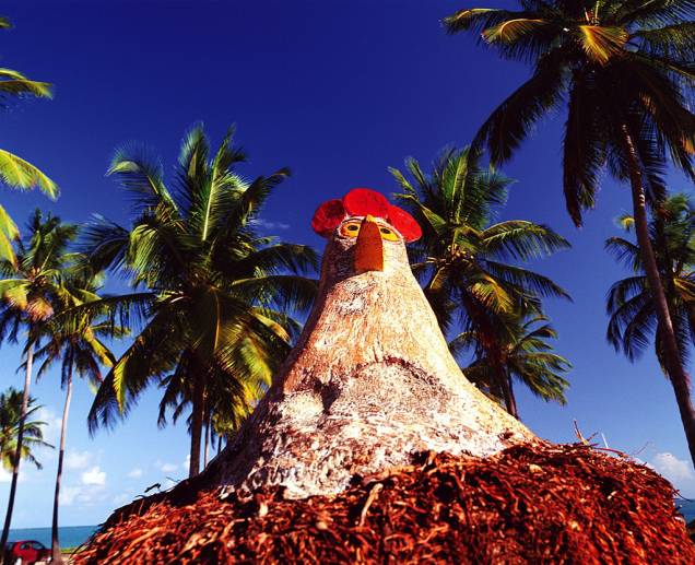 Os turistas não deixam de tirar fotos ao lado das galinhas esculpidas em tronco de coqueiro 