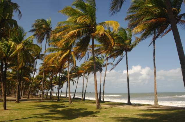 Praia Toquinho é delimitada pelo Rio Sirinhaém, que separa os municípios de Ipojuca e Tamandaré