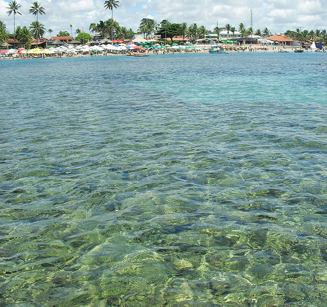 Os recifes lindões de Porto de Galinhas (foto: Ludmilla Balduino)