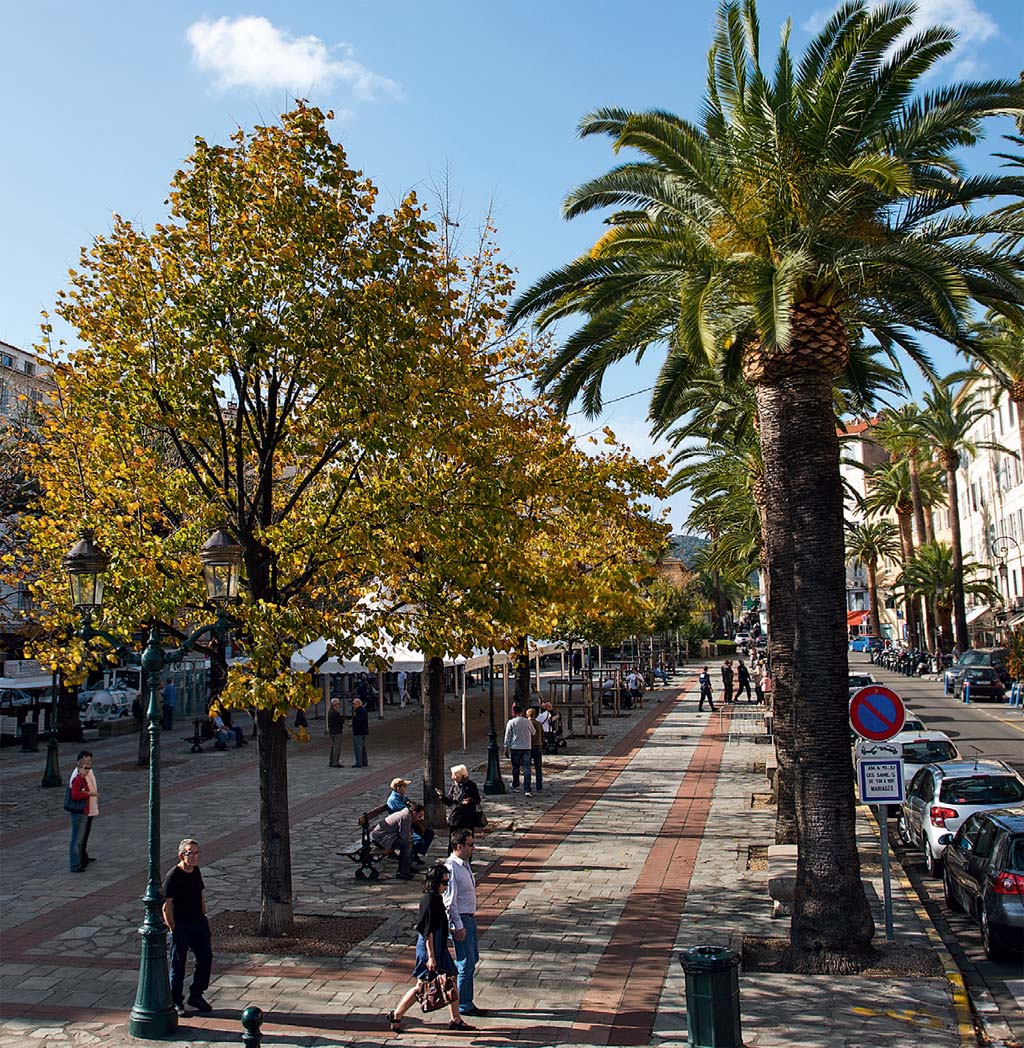 A Place Foch, a rua principal de Ajaccio, na Córsega A Place Foch, a rua principal de Ajaccio, na Córsega