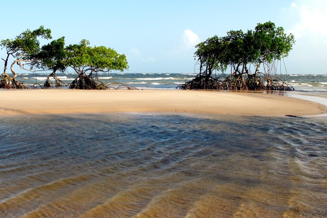 Praia na Ilha de Marajó, no Pará
