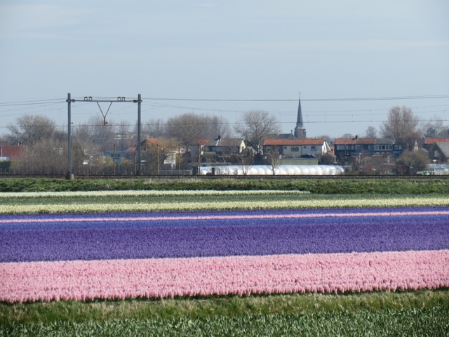 primavera_holanda-1-1