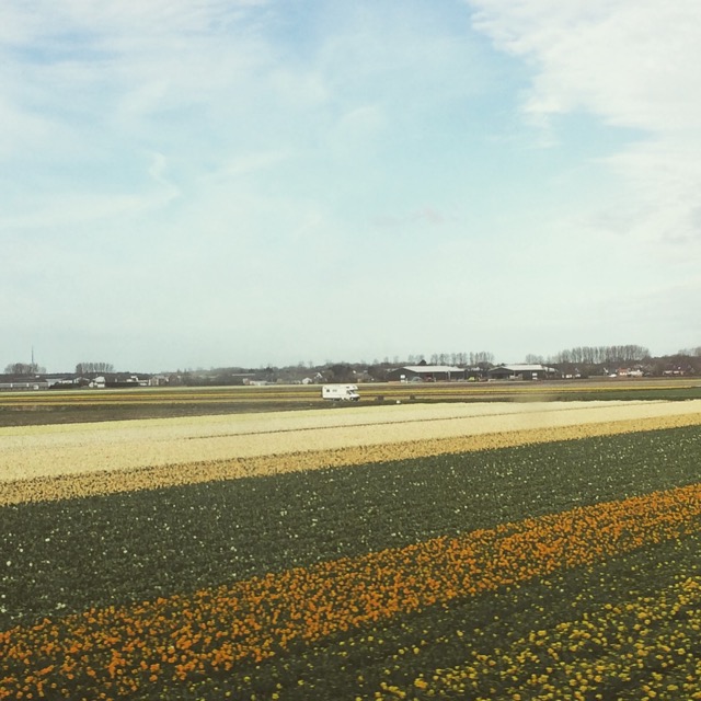 Primavera_Holanda - 12