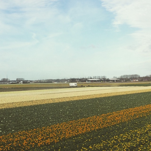 primavera_holanda-12