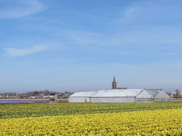 Primavera_Holanda - 5