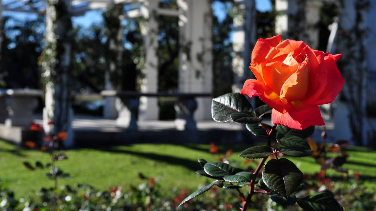 Rosedal, Buenos Aires, Argentina