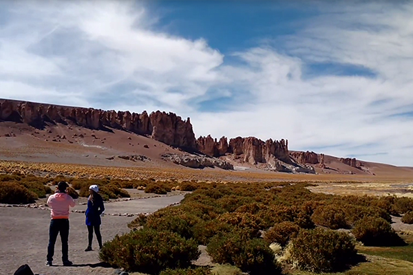 salar de tara