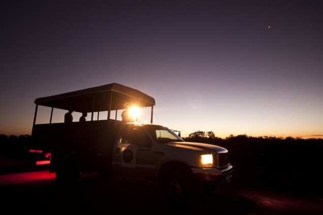 A focagem é a melhor oportunidade para observar os animais de hábitos noturnos no Pantanal. Cada parada do caminhão é uma surpresa! Pode ser um lobinho, uma coruja, um tamanduá ou, quem sabe, até uma onça-pintada