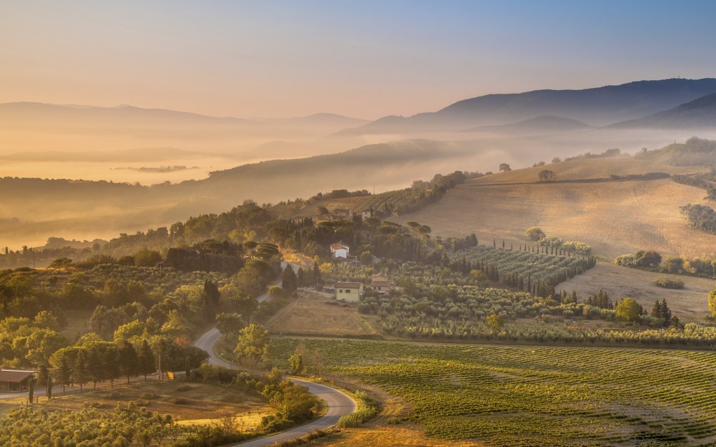 Cenário típico da região da Toscana, na Itália - Toscana amanhece com neblina vinícolas