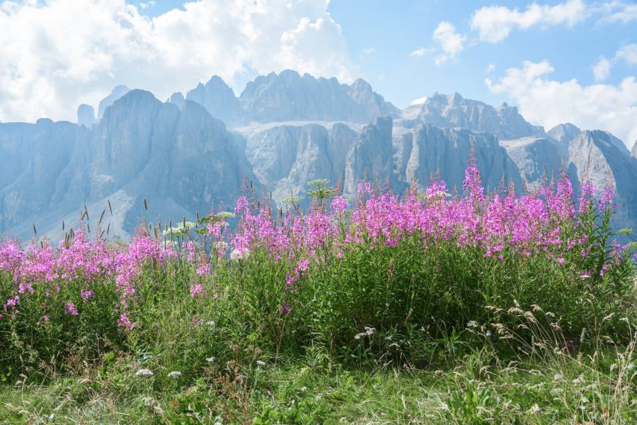 No verão a paisagem branca da neve se torna mais colorida e florida em Val Gardena