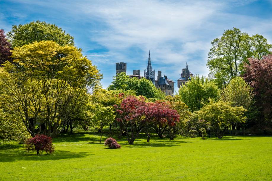 Com seus lindos parques e jardins, Cardiff é considerada uma das cidades mais verdes do Reino Unido. No Bute Park, essa fama fica ainda mais nítida: são diversas espécies de árvores, plantas e flores espalhadas em uma área de 56 hectares Com seus lindos parques e jardins, Cardiff é considerada uma das cidades mais verdes do Reino Unido. No Bute Park, essa fama fica ainda mais nítida: são diversas espécies de árvores, plantas e flores espalhadas em uma área de 56 hectares
