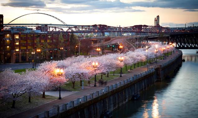 O Tom McCall Waterfront Park em Portland, USA O Tom McCall Waterfront Park em Portland, USA