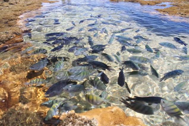A praticamente deserta Praia de Itaquena, onde só é possível chegar após 1 hora e meia de caminhada, a partir da Ponta de Itapororoca A praticamente deserta Praia de Itaquena, onde só é possível chegar após 1 hora e meia de caminhada, a partir da Ponta de Itapororoca