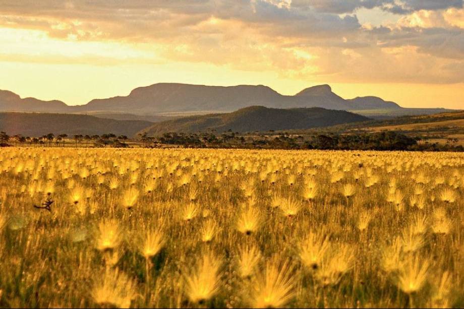 Chapada dos Veadeiros, em Goiás, foi declarada Patrimônio Mundial pela Unesco em 2001