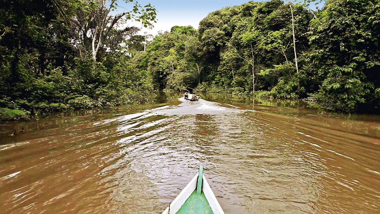 Barco passando pelo rio Javari, na floresta Amazônica, com árvores nas duas margens