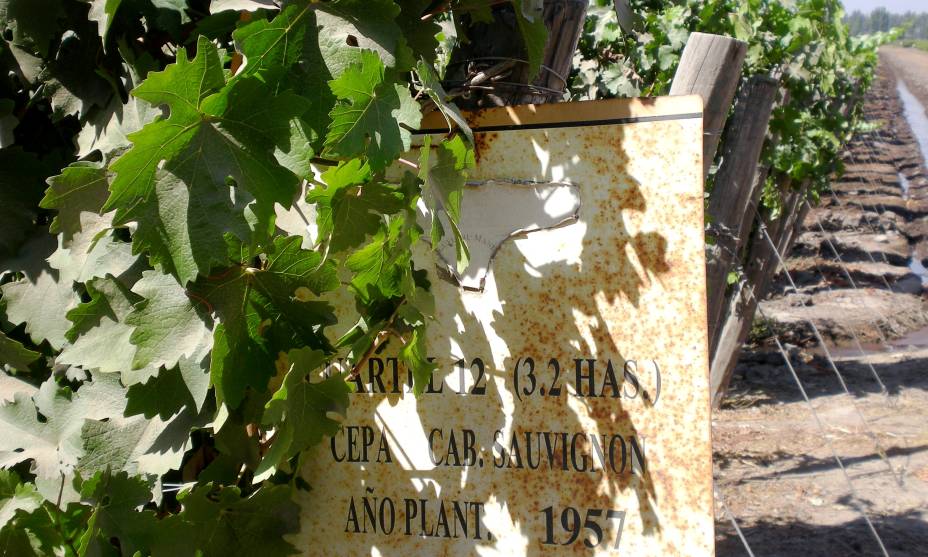 O tour bem explicado e detalhado ja conferiu prêmios à vinícola Viu Manent. O trajeto, feito em uma carroça, é charmoso e bem romântico