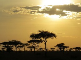 Zanzibar + Serengeti + Kilimanjaro- como conciliar os hits da Tanzânia numa viagem