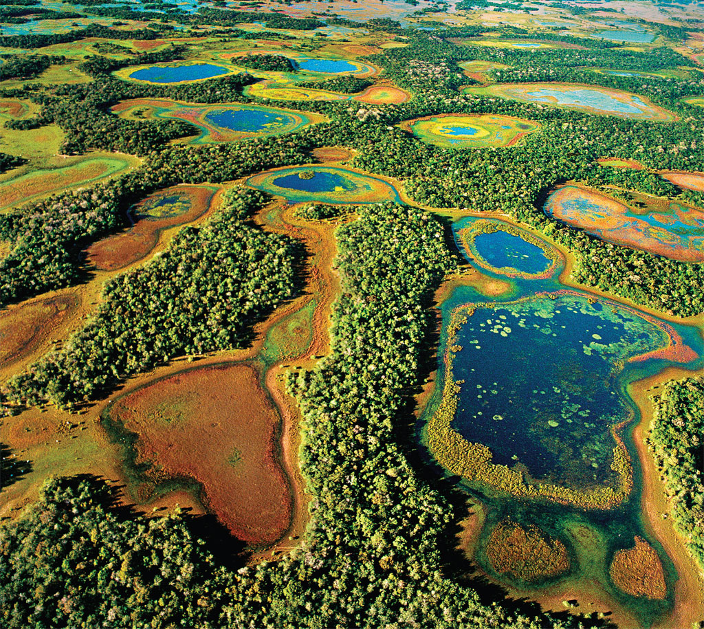 Os alagados do Pantanal Sul na região de Aquidauana