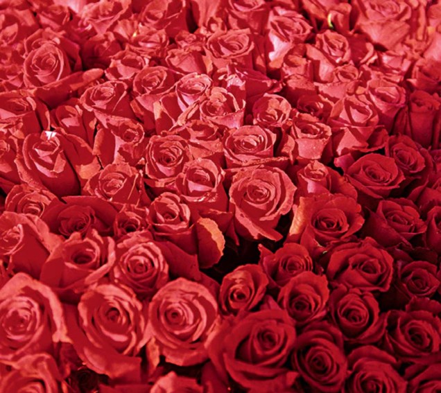 A Colômbia é grande produtora de flores, principalmente rosas