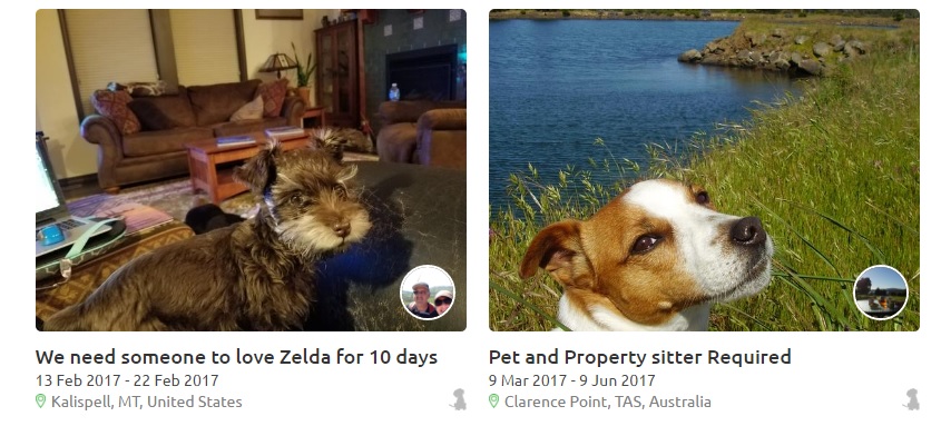 dogsitter dogsitter
