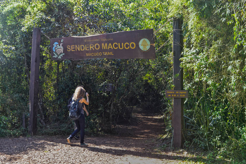 Sendero Macuco: contato com a fauna e um banho de cachoeira (foto: divulgação)