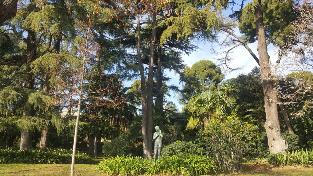 Verde e paz em Pedralbes