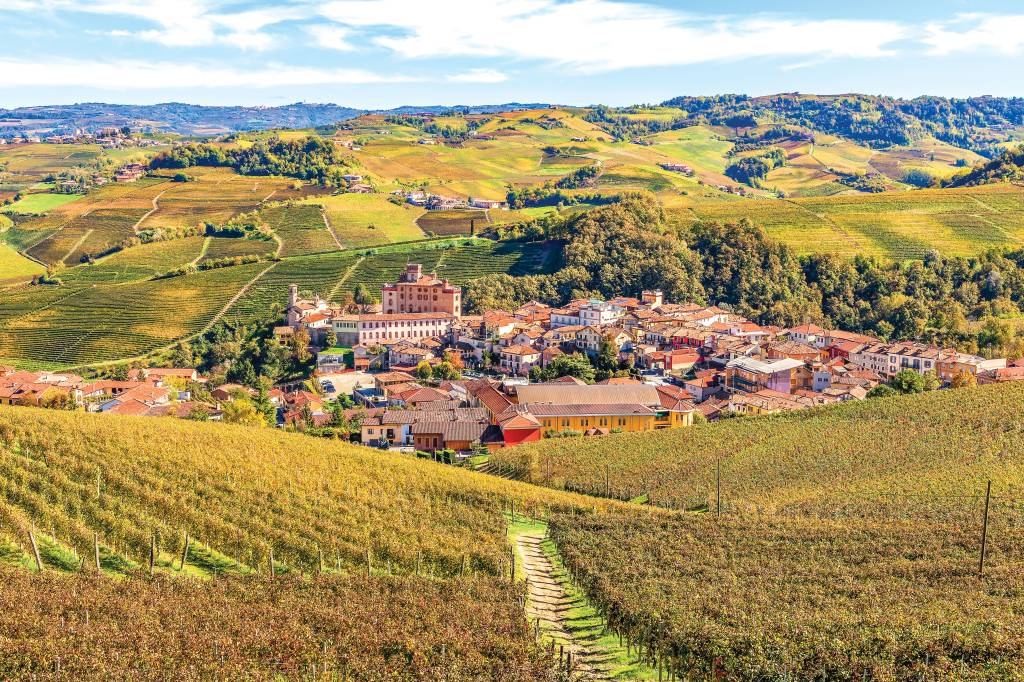 Alba, Piemonte, Itália Panorâmica da cidade de Alba. Em primeiro plano, vinhedos e as casinhas. Ao fundo, o horizonte