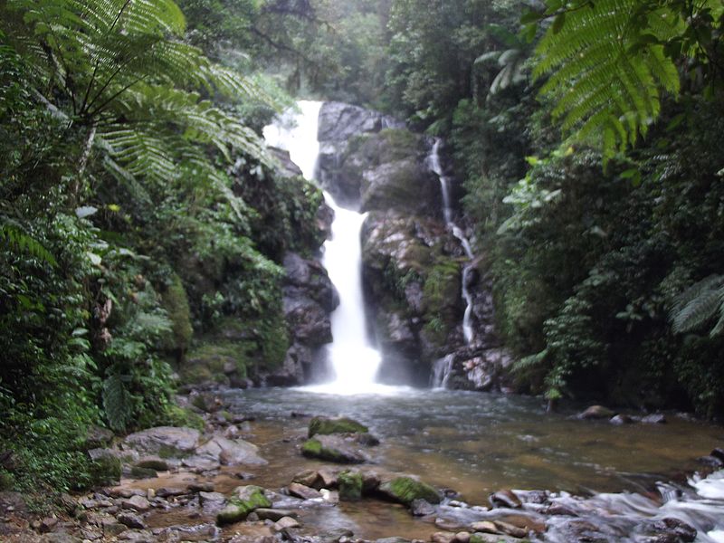 Em terra de cachoeira, a do Chá reina em Tapiraí