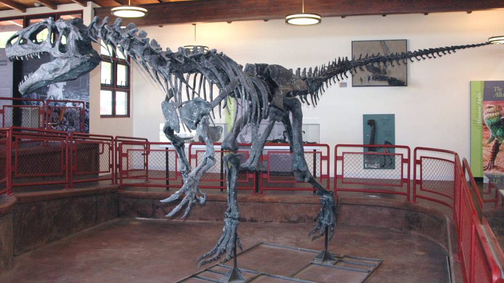 Esqueleto completo de um Alossauro exposto dentro da sala de um museu