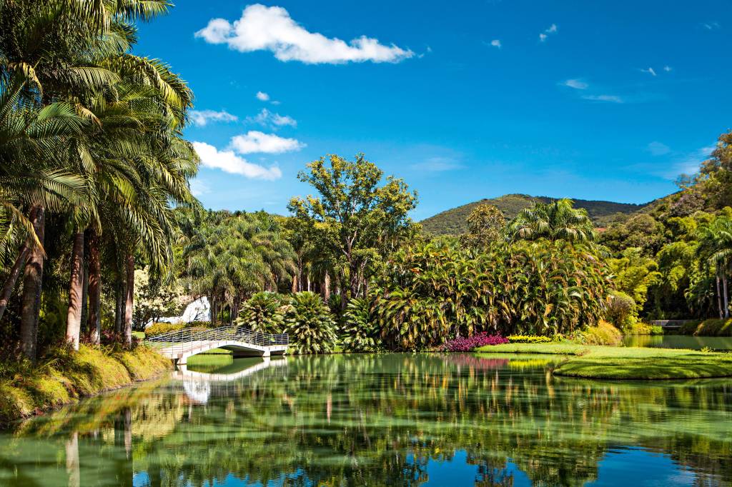 O que você vai encontrar ao visitar o Instituto Inhotim, em Minas