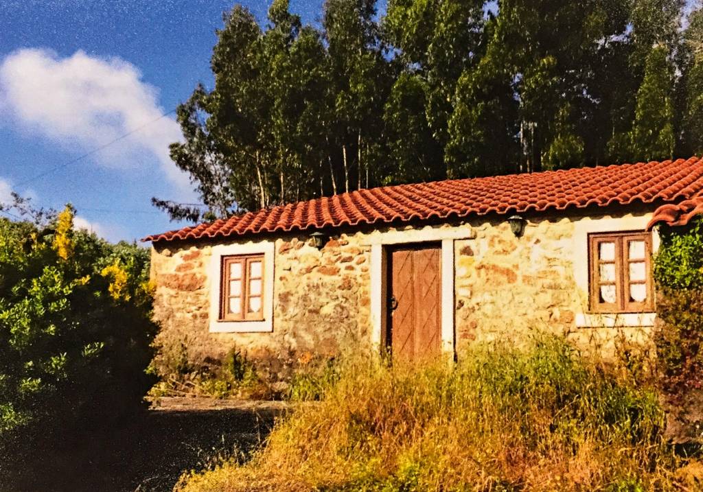 Casa simples, de um andar, cercada por vegetações baixas na parte da frente e árvores altas atrás